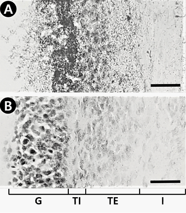 icci-aid1019-g002