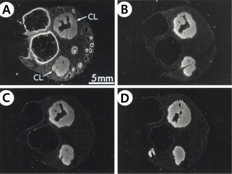 icci-aid1019-g005